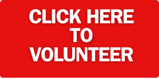 Volunteer Now